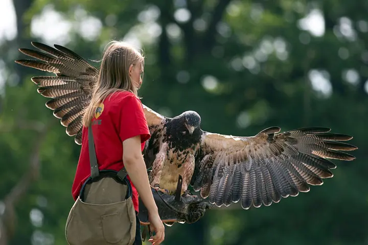 Freiwilliges Ökologisches Jahr (FÖJ) und Ökolog. Bundesfreiwilligendienst (ÖBFD)